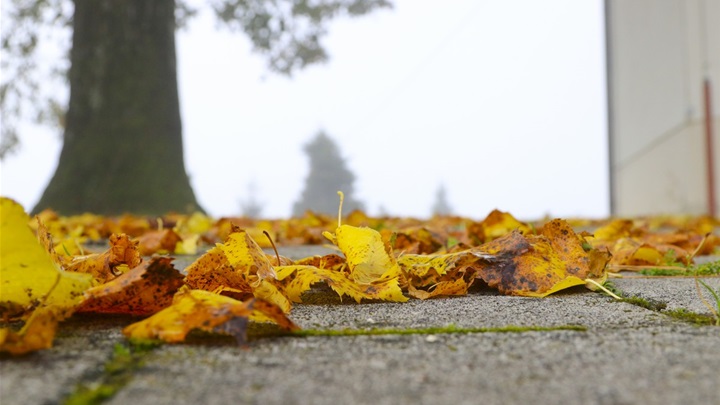 vrijeme jesen (2).jpg