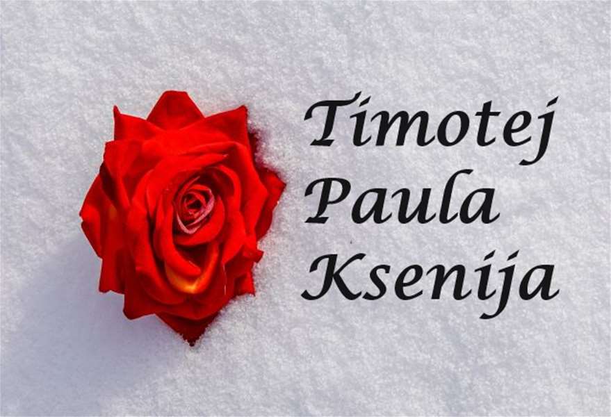 timotej paula ksenija.png