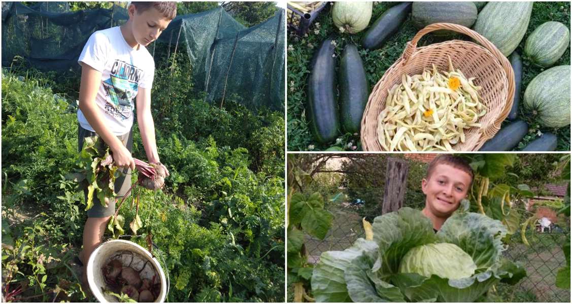 kolaž petar mucak.jpg