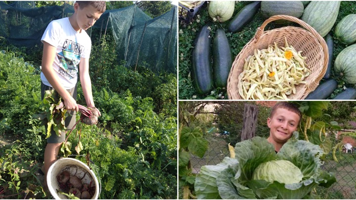 kolaž petar mucak.jpg