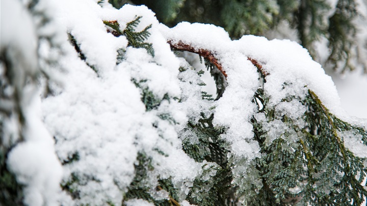 prognoza zima snijeg (17).jpg