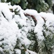 [PROGNOZA VREMENA] Božarov otkriva koliko će snijega biti za vikend