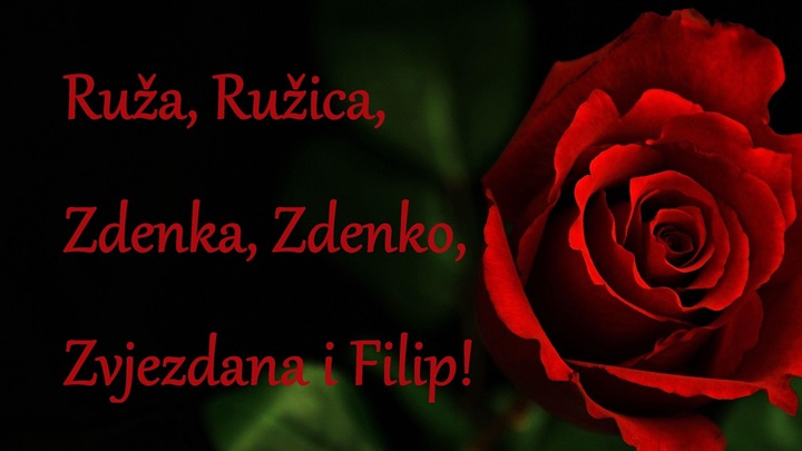 Ruža.jpg
