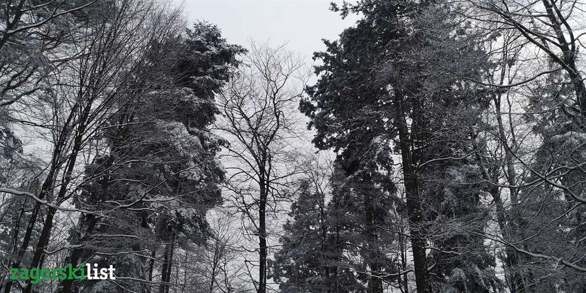 vrijeme zima snijeg (3).jpg