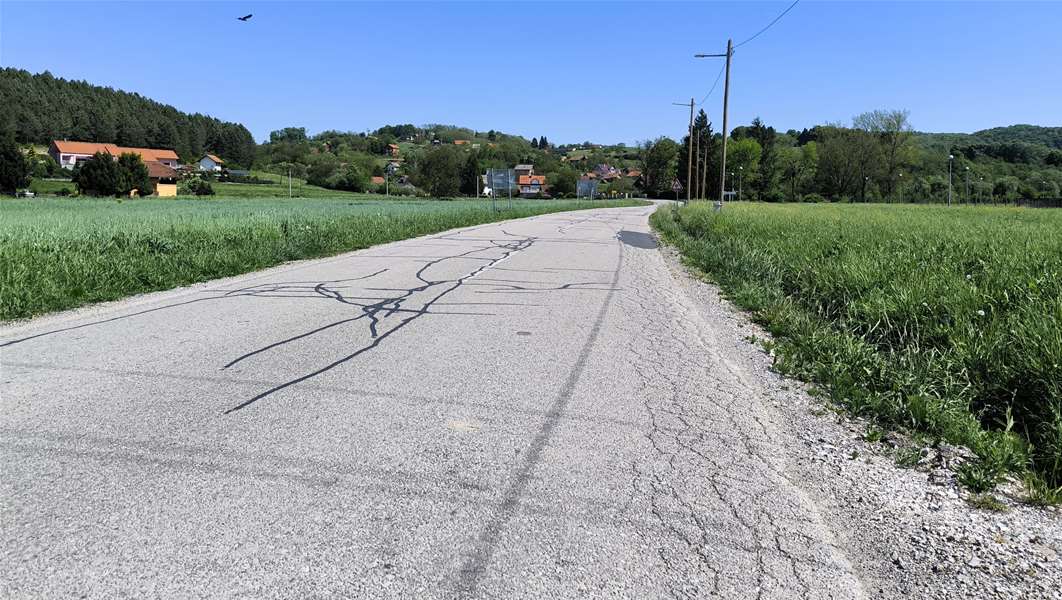 d307.jpg