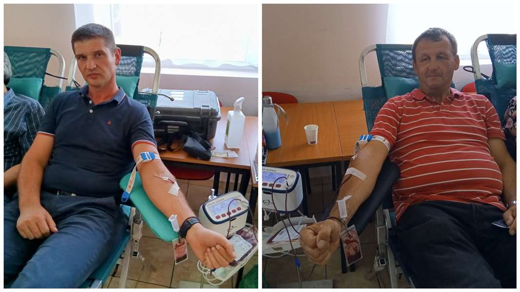 FotoJet - 2023-08-22T090634.668.jpg