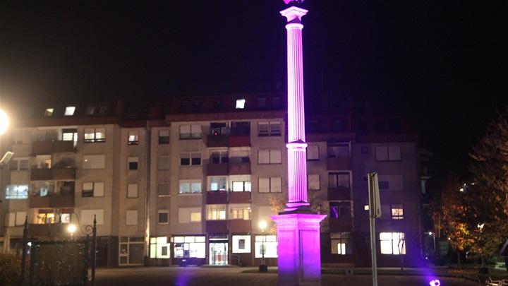 ljubičasti orao.JPG