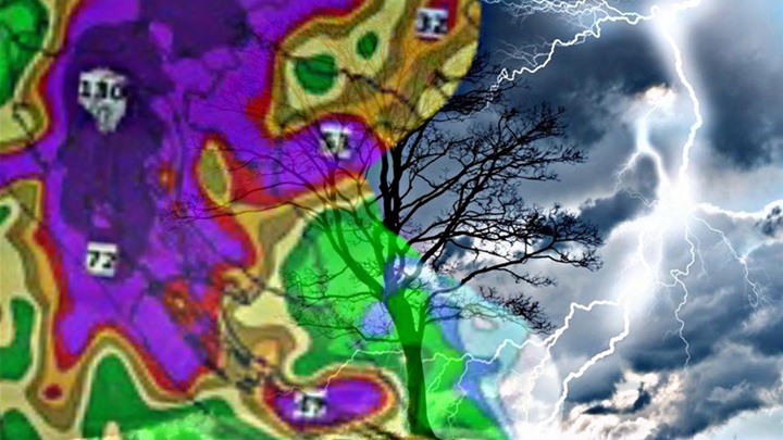 WhatsApp Image 2023-08-03 at 14.50.35.jpeg