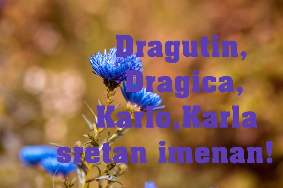 Dragutin, Dragica, Karlo.jpg