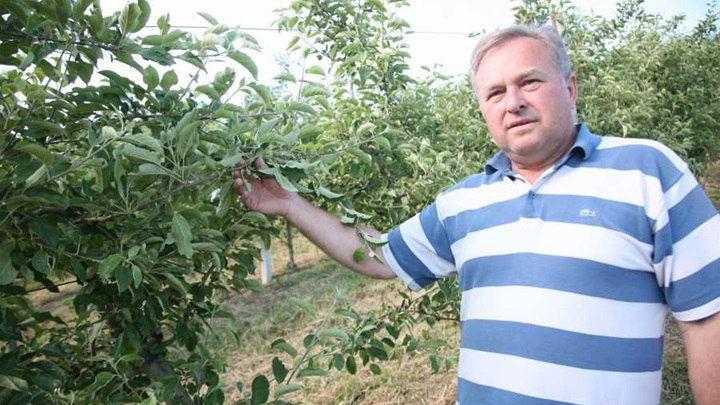 BAKEK VOĆARSTVO 1.jpg