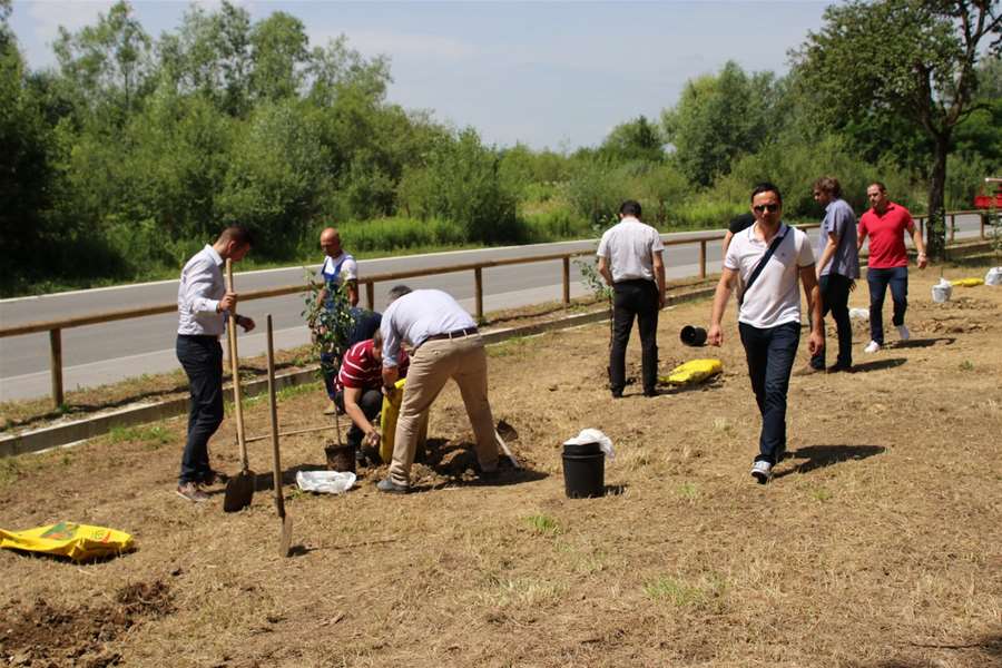 energetski dan (13).jpg