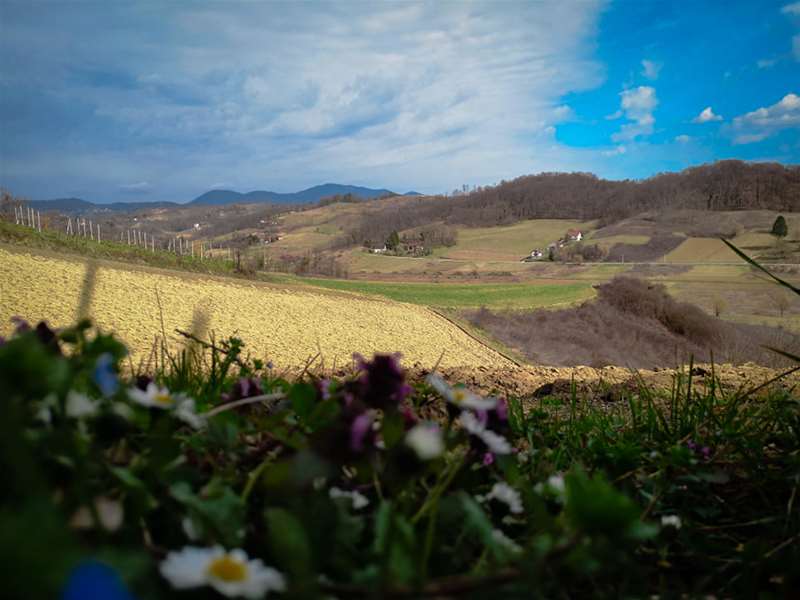 vedro sunčano vrijeme sunce proljeće.jpg