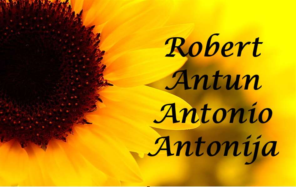 imendan robert antun.png