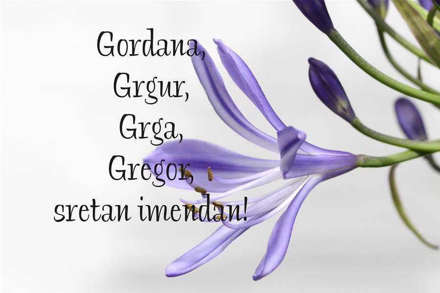 -Gordana, Grgur, Grga i Gregor