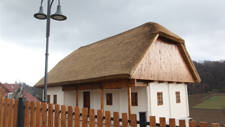 rodna kuća đure prejca.JPG