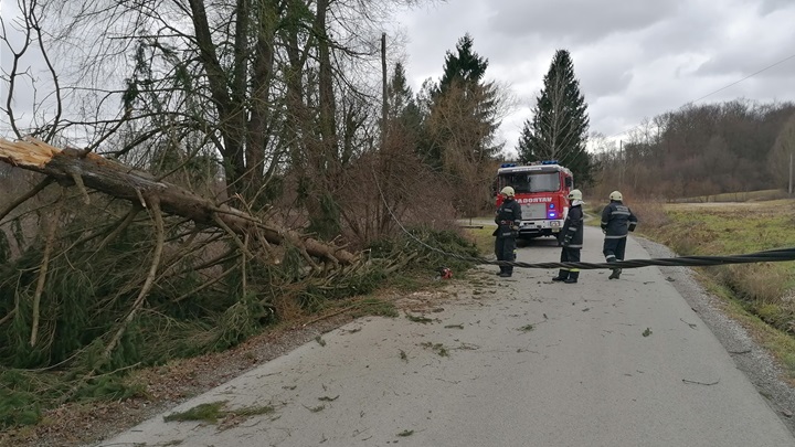 foto: dvd konjščina facebook