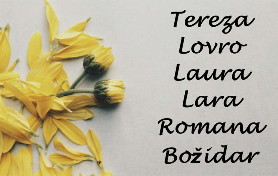 imendan tereza i ostali.png