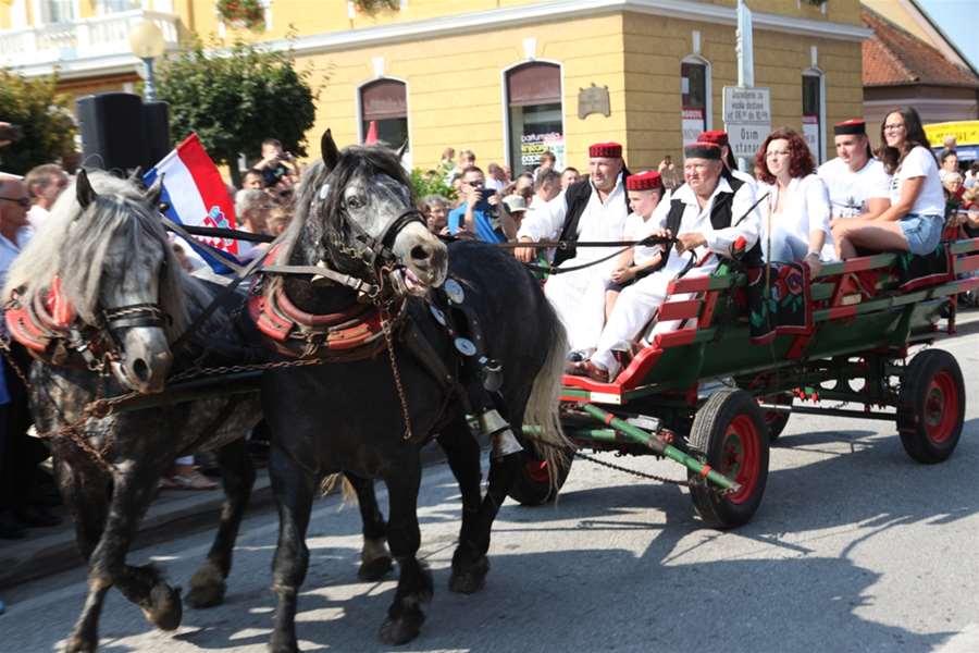 vozočašće marija bistrica (1).JPG