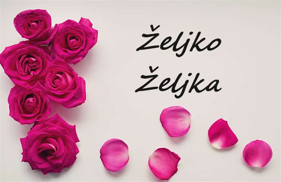 imendan željko.png