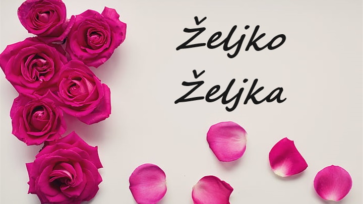 imendan željko.png