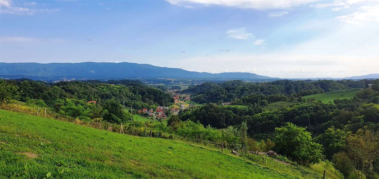 vedro sunčano ljeto.jpg