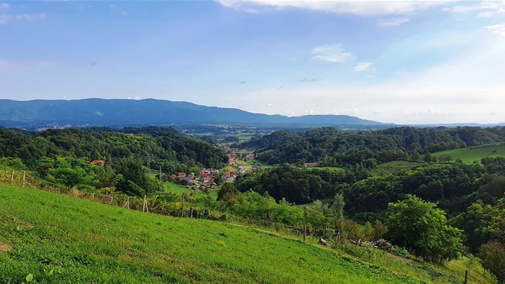 vedro sunčano ljeto.jpg