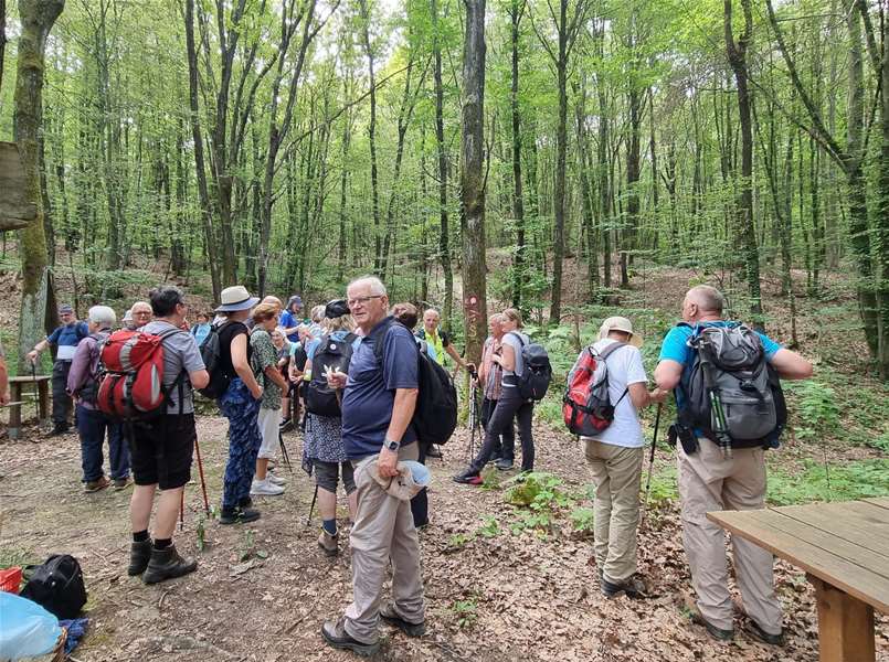 Bistričkom obilaznicom Za dušu i tijele Mirko Fulir devedesetak planinara 5.jpeg