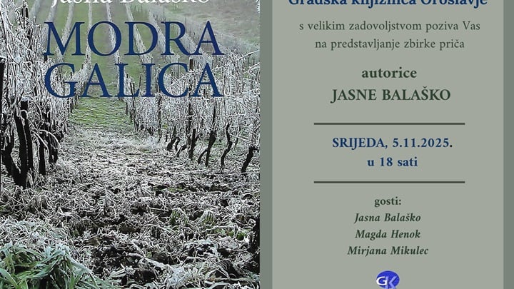 Modra galica plakat.png