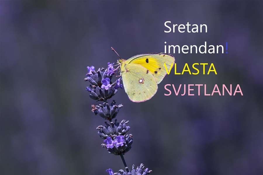 svjetlana-