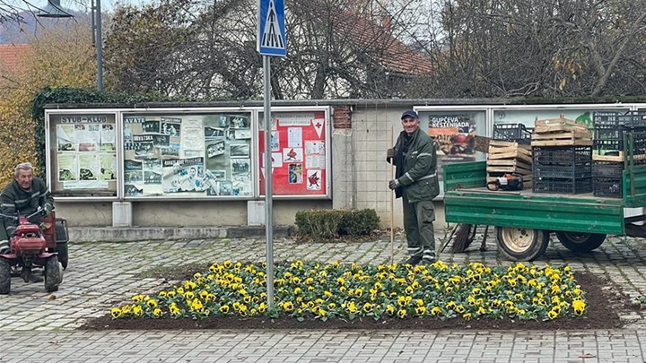 stubica cvijeće.jpg
