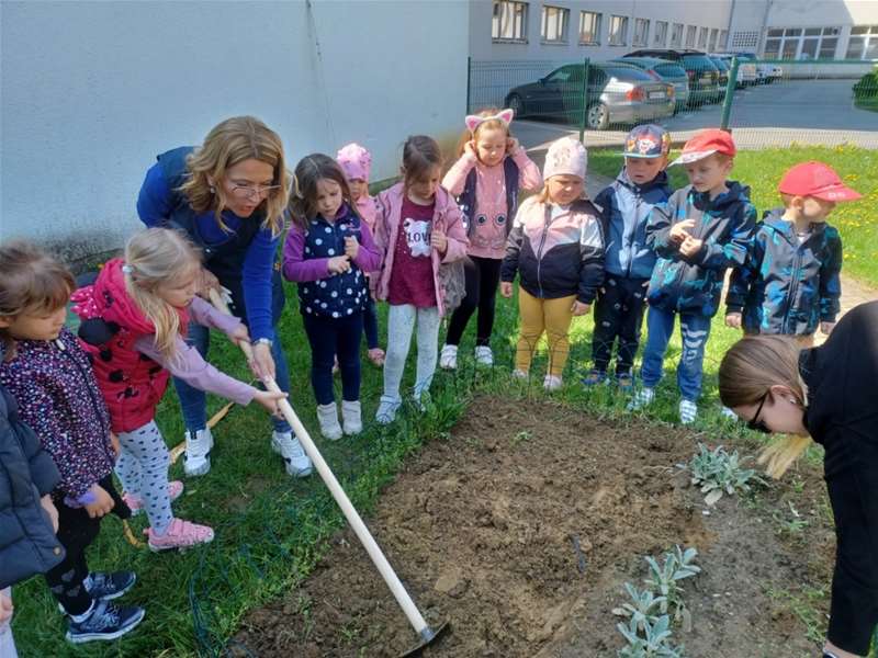 ''Pušlekovci'' sadili cvijeće, jagode, orah i čemprese 02.jpg