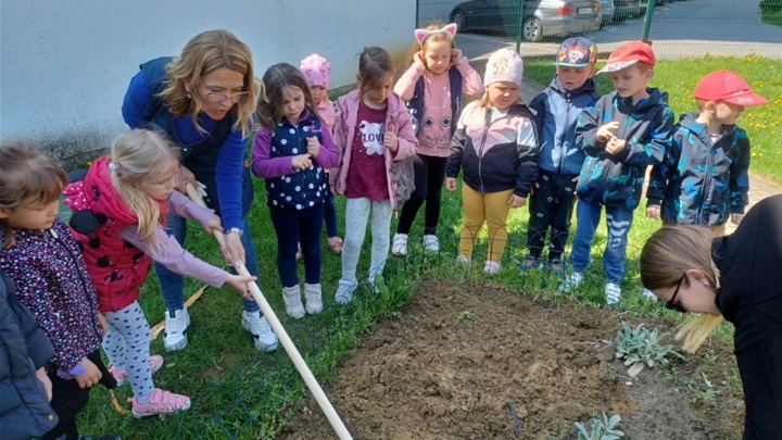 ''Pušlekovci'' sadili cvijeće, jagode, orah i čemprese 02.jpg