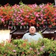 [VIDEO] Branko (63) sam uzgaja predivne pelargonije, a njegovim se cvjetnim balkonima dive mnoge žene