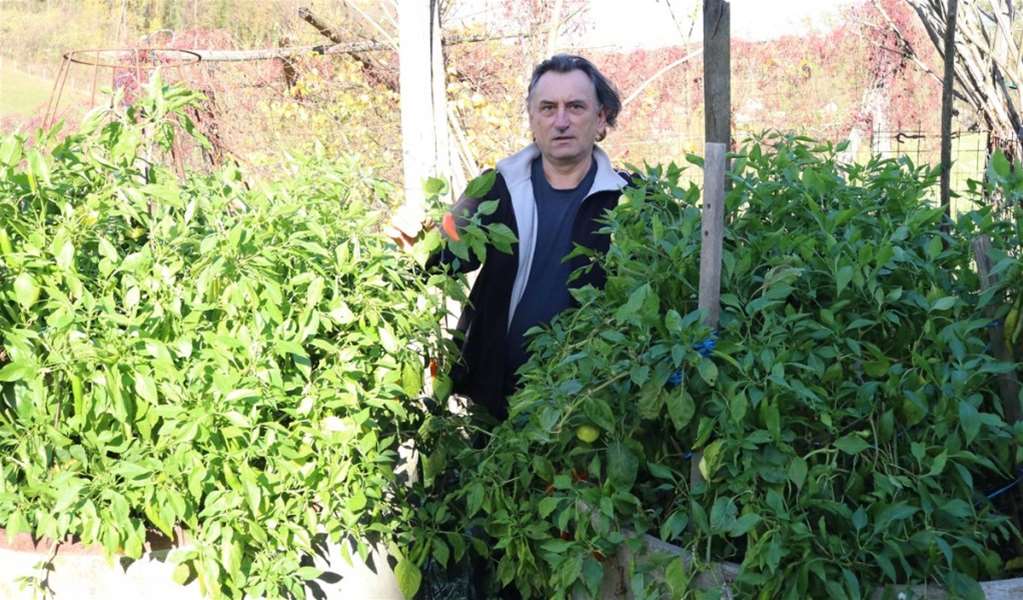 stjepan repovečki komposter (1).jpg