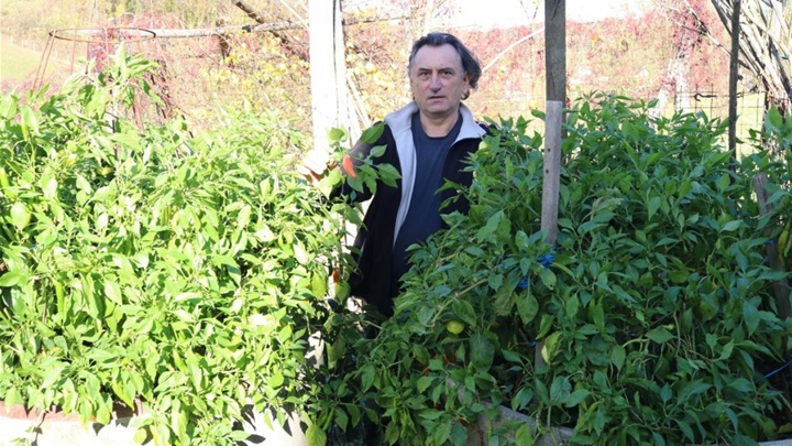 stjepan repovečki komposter (1).jpg