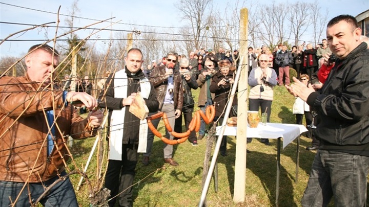 vincekovo Rody G.Stubica