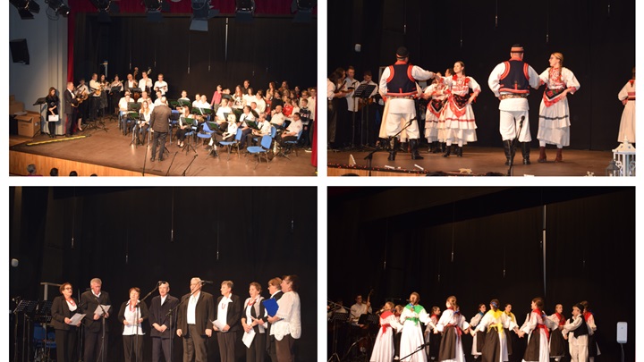 najava ježek i laz.jpg