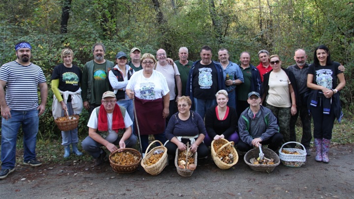 gljivari u istri.jpg