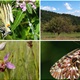 Predstavljeni rezultati istraživanja o bioraznolikost Kunagore i Vinagore