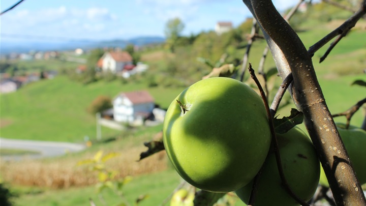 jesen prognoza (9).JPG