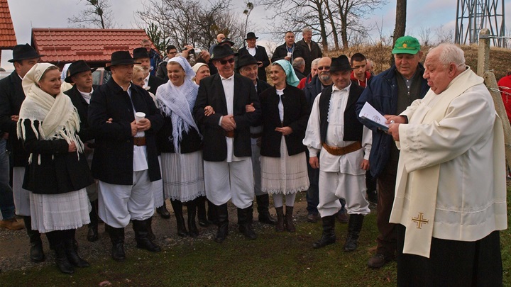 vincekovo picelj 6.JPG