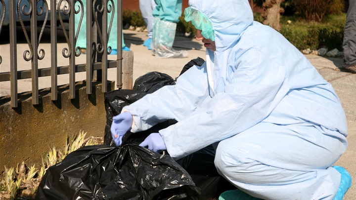 arhiva _ ptičja gripa u Špičkovini 2017.