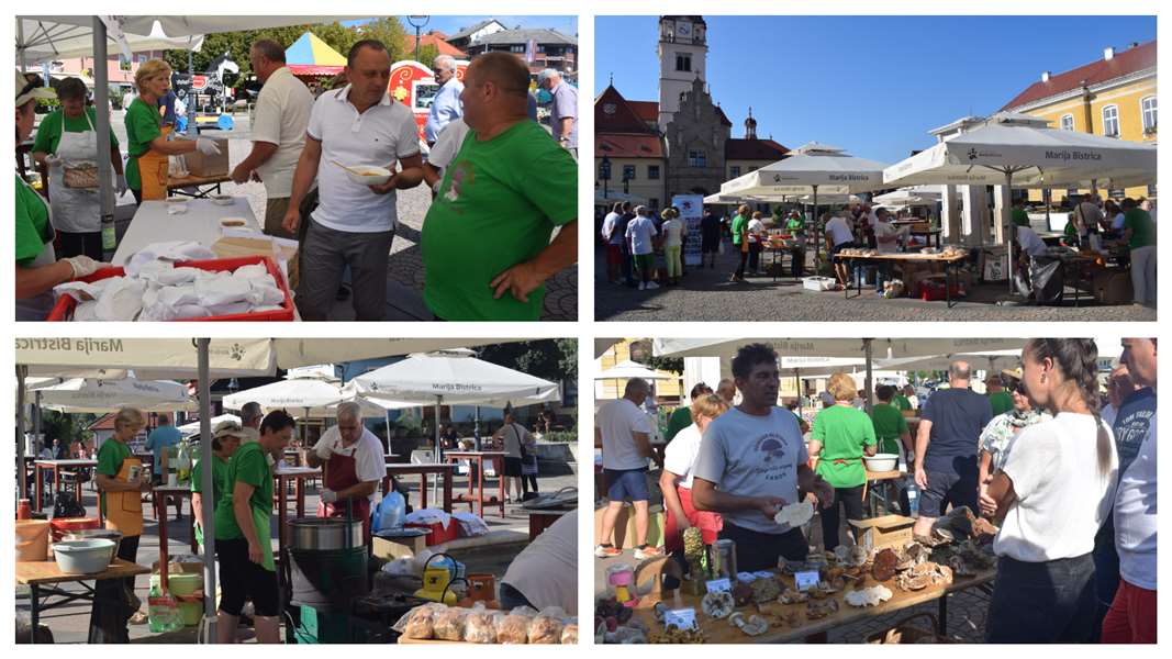 Gljivarska izložba u Mariji Bistrici naslovna .jpg