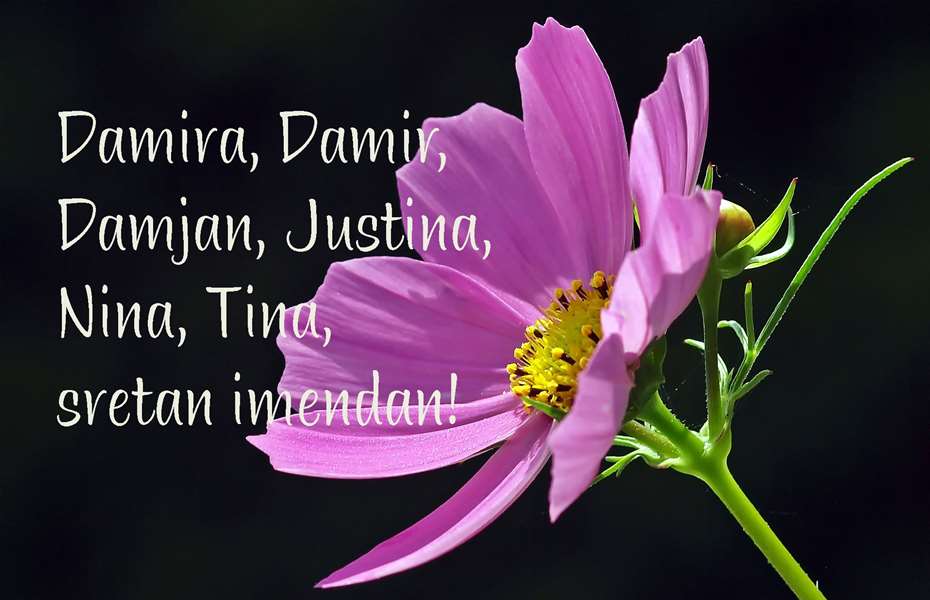 -Damira, Damir, Damjan, Justina, Nina, Tina