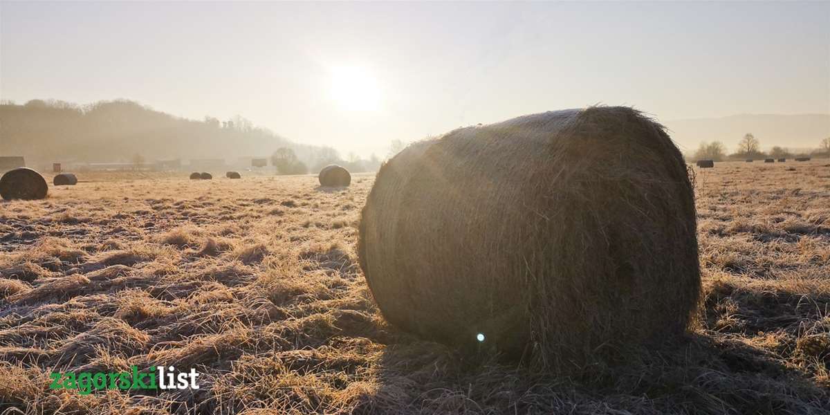 vrijeme zima sunce 4