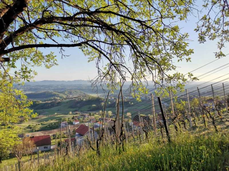 proljeće prognoza