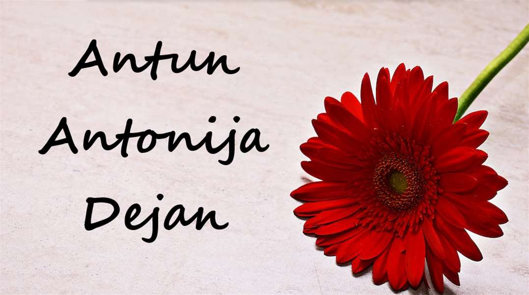 antun antonija dejan.png