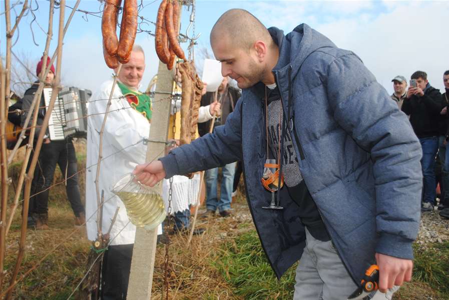 kraljevec vincekovo (9) gl.jpg