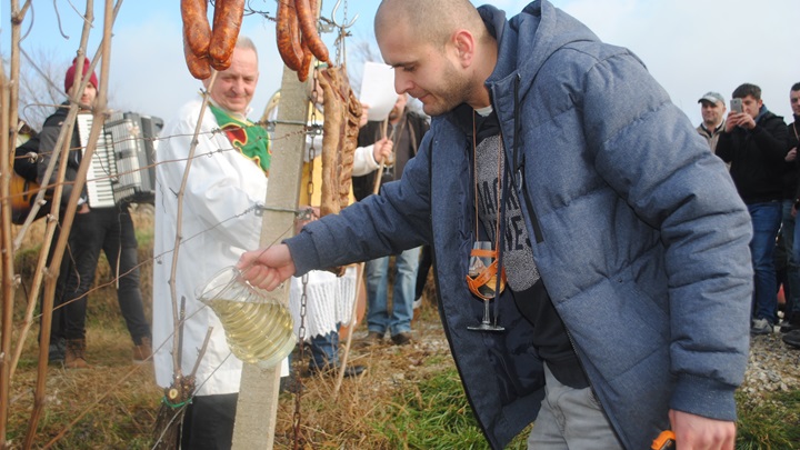 kraljevec vincekovo (9) gl.jpg