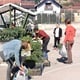 Po prvi put 'Zelena tržnica' u Loboru: Kupovali su se flanci ranih sorti paradajza i paprike te cvijeće